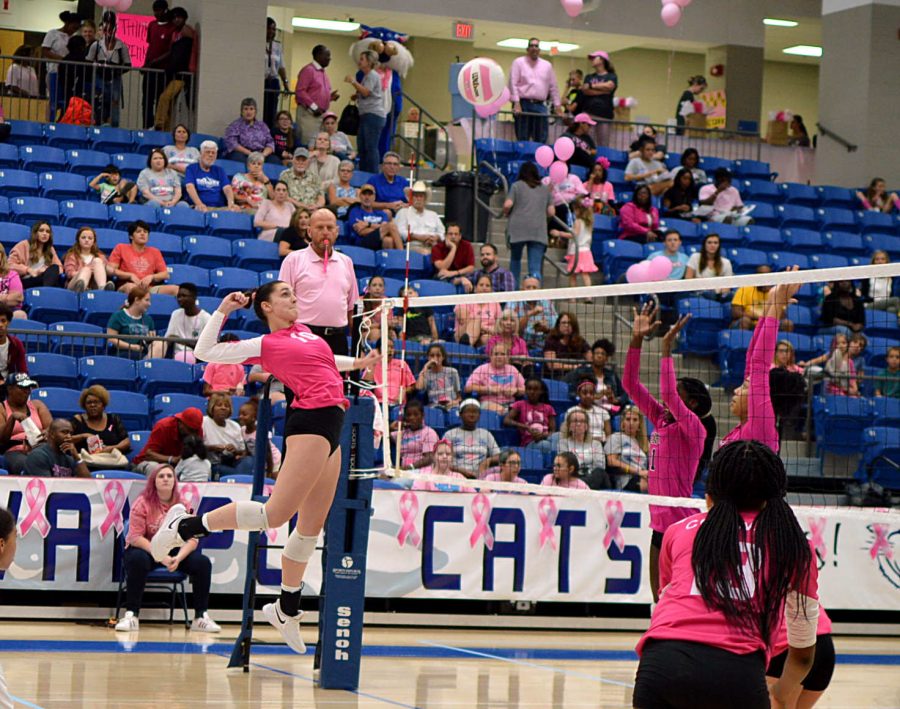 Lady Cats Host Pink Night