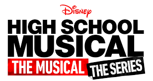 Opinion on HSM:TMTS