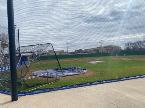 The Cats Season is Underway