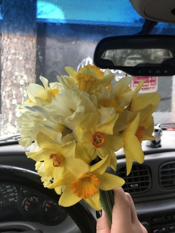 Em Claflin holding her daffodils 