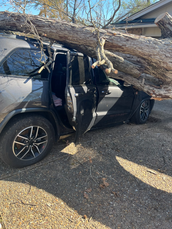 This picture shows an uprooted tree that damaged the vehicle.