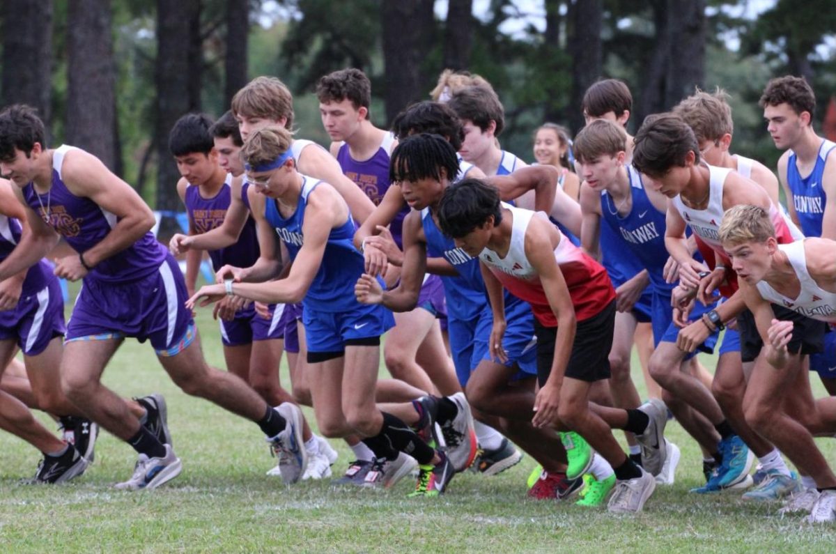 Conway runners get in their starting stances at the Wampus Cat Invitational September 2 at Lake Beaverfork. 